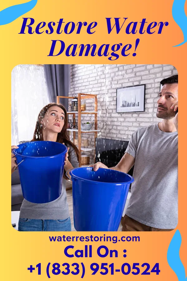 water restoration Swift Water Solutions Contractors Thurston