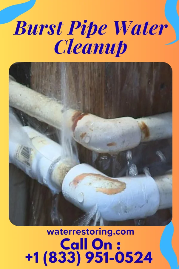 Burst Pipe Water Cleanup in Thurston, NE